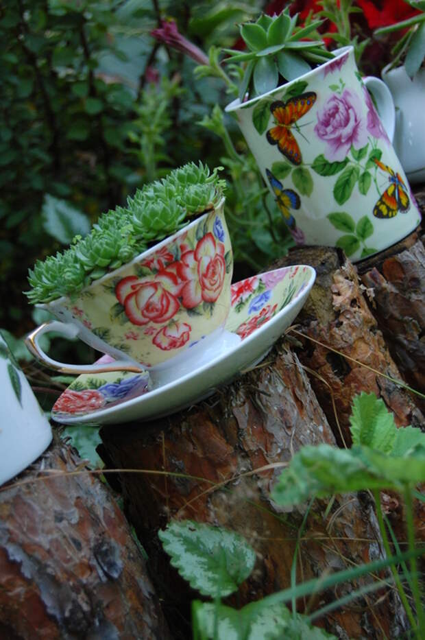 DSC_2726 (465x700, 287Kb)