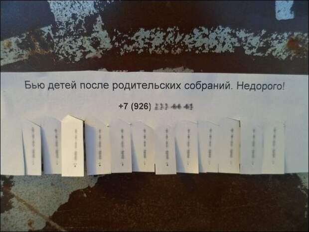 Бизнес не дремлет Бизнес не дремлет дети, коты, прикол, юмор