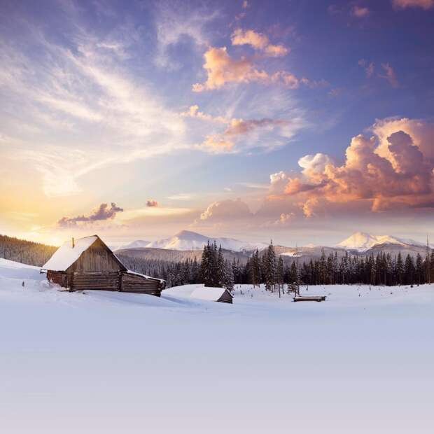 Фотоподборка за 21.02.2014 