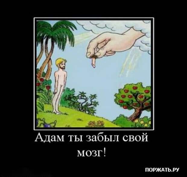 В продолжении демотиваторы