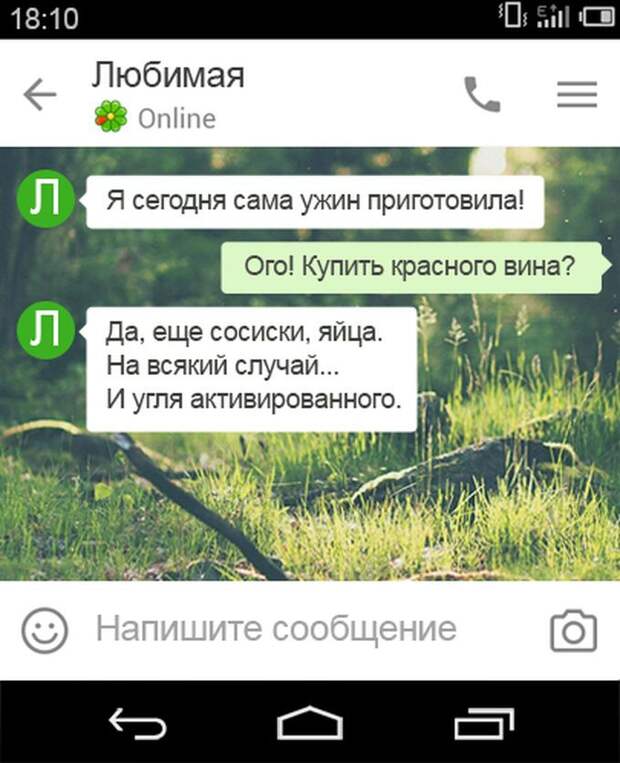 15 перлов с неожиданным финалом. Жизнь – штука непредсказуемая! приколы, смс, юмор