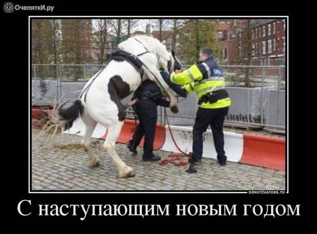 Демотиваторы о разном 12