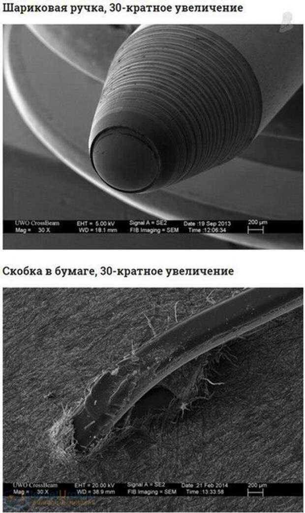 30 кратное 12. Повседневные вещи под микроскопом. Разные вещи под микроскопом. Разные предметы под микроскопом. Обычные вещи под микроскопом.