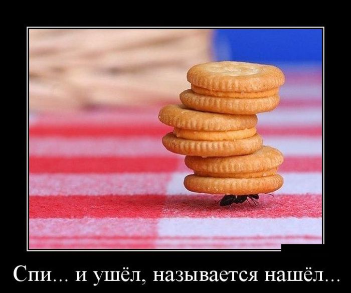 Демотиваторы (30 фото)