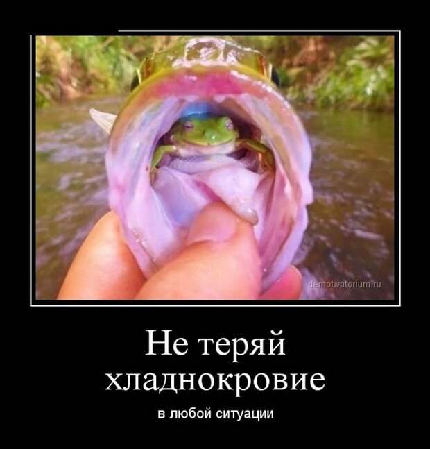 Демотиваторы