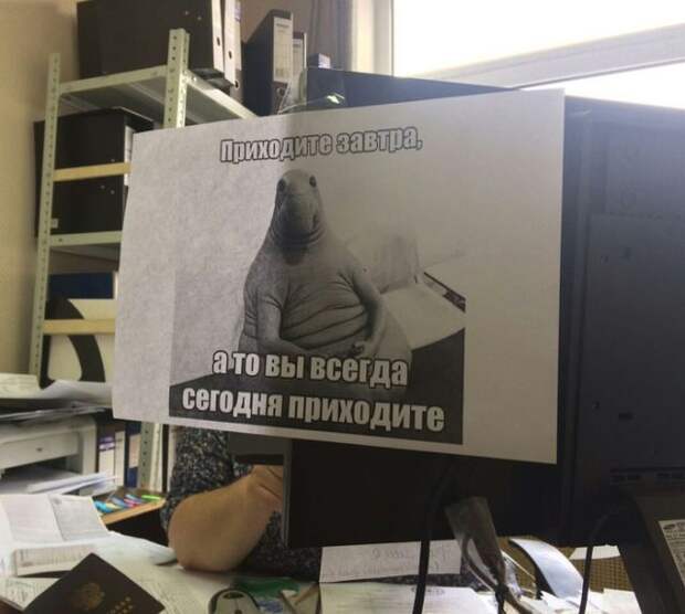 Позитивные и прикольные картинки для веселья Позитивные и прикольные картинки для веселья