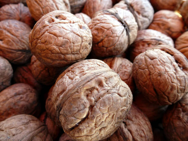 Орехи. Содержат витамины B1, B2, C, PP, а также железо, медь, кобальт, марганец. (das_butzele)