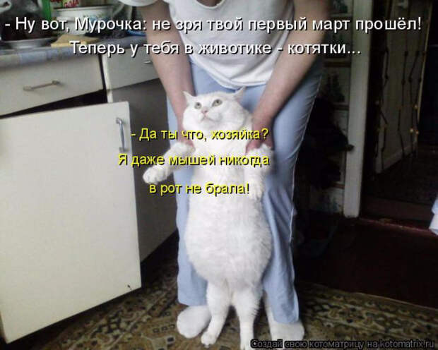 1429823352_08 (700x560, 255Kb)
