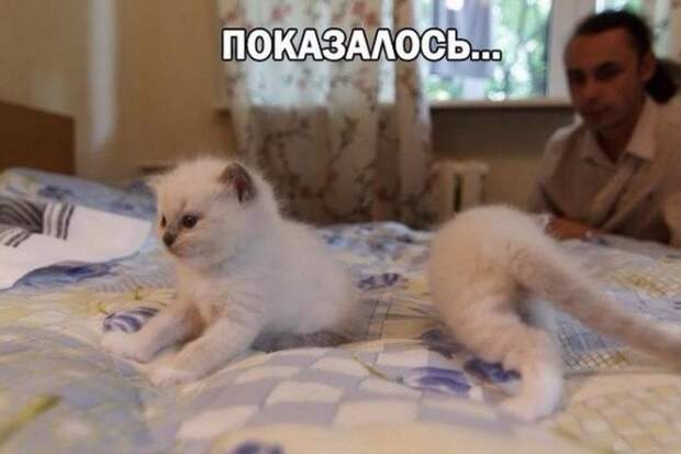 Давайте улыбаться вместе! :) №300114
