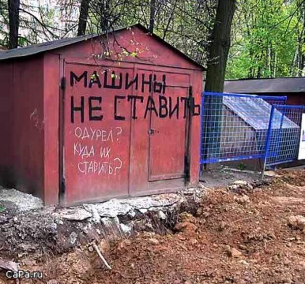 Утренний позитив!  10.09.2009