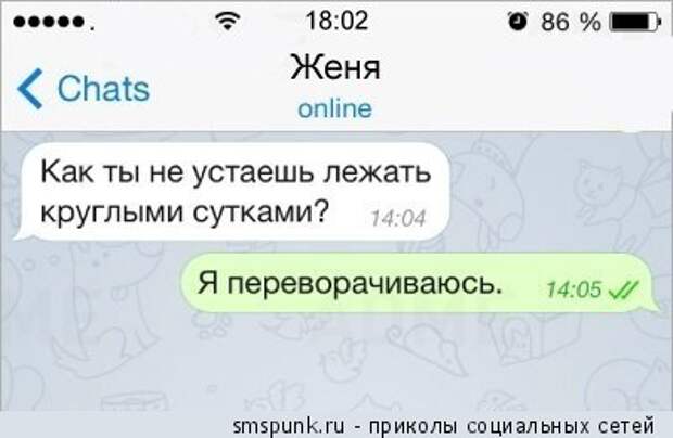 Как ты не устаешь лежать круглыми сутками?