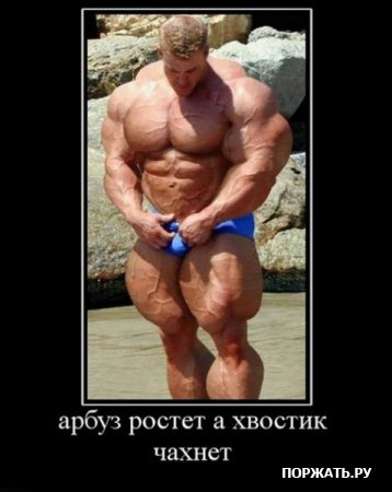 Демотиваторы фото и прикольный текст к ним.