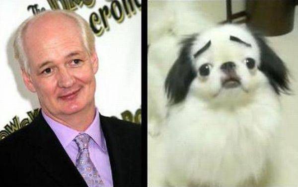 1322051595_1322001980_look_alike_640_05_result - Copy - Copy
