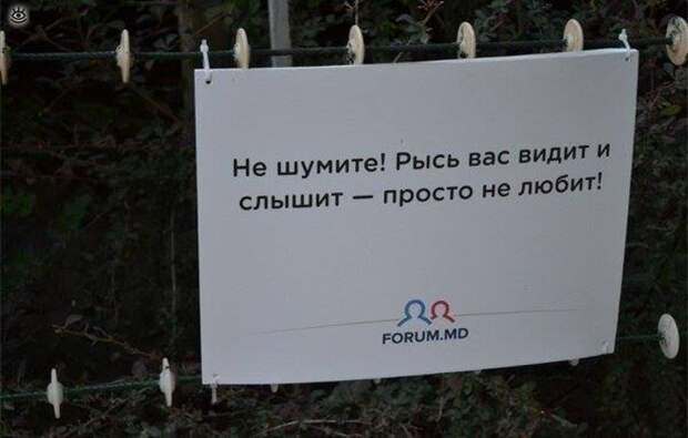 Приколы молдавского зоопарка 0