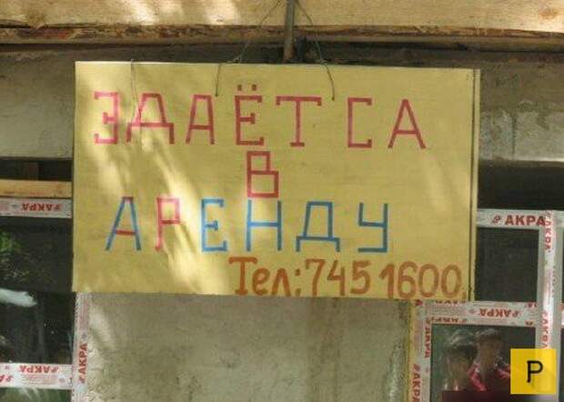 Забавные объявления об аренде и прокате (24 фото)