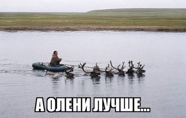 Прикольные фотомемы для хорошего настроения (28 фото)