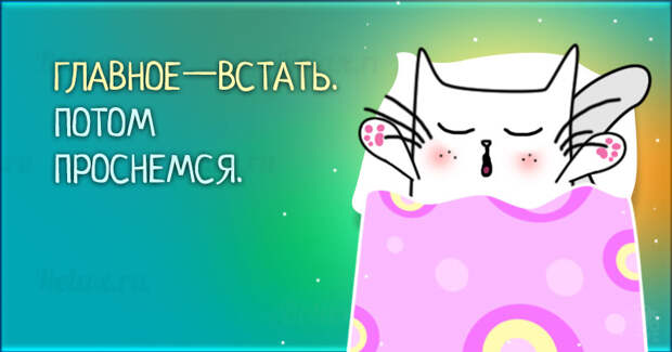 10 открыток, которые не могут не улыбнуть