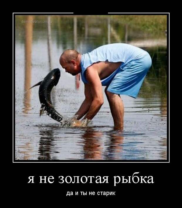 Демотиваторы демотиваторы, прикол, смех, юмор