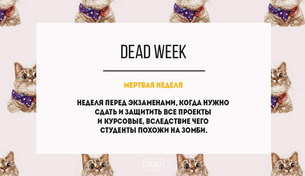 15 современных слов из английского сленга английский язык, сленг, словарь