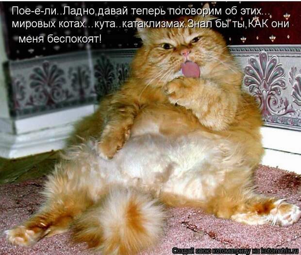 Котоматрица: Пое-е-ли..Ладно,давай теперь поговорим об этих... мировых котах...кута..катаклизмах.Знал бы ты,КАК они меня беспокоят!