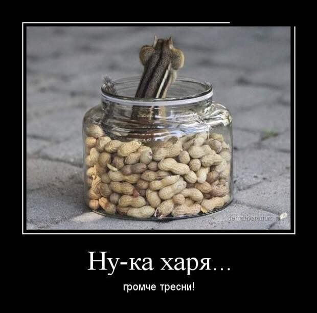 Демотиваторы 09.10.2014 Демотиваторы 09.10.2014