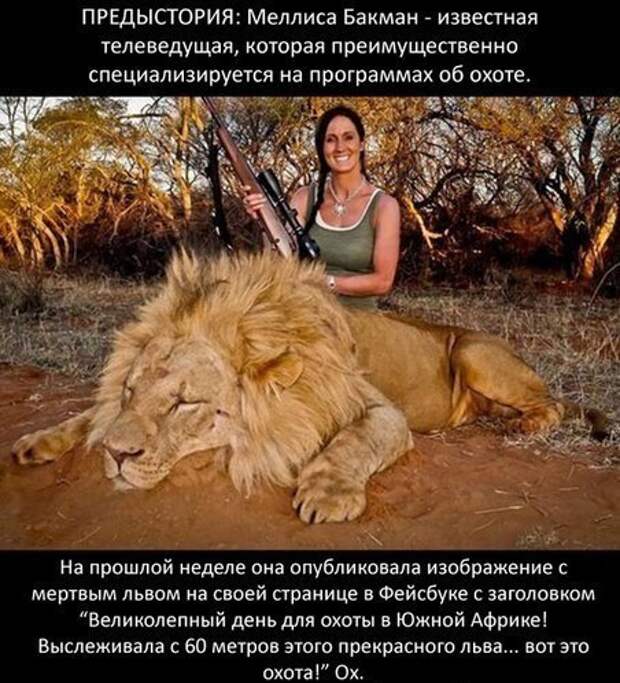 Убийство льва — самый трусливый поступок, который можно совершить. Убийство льва — самый трусливый поступок, который можно совершить.