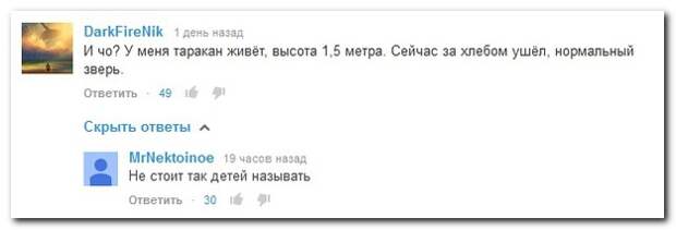 Смешные комментарии из социальных сетей 09.09.14 комментарии, прикол, соцсети, юмор