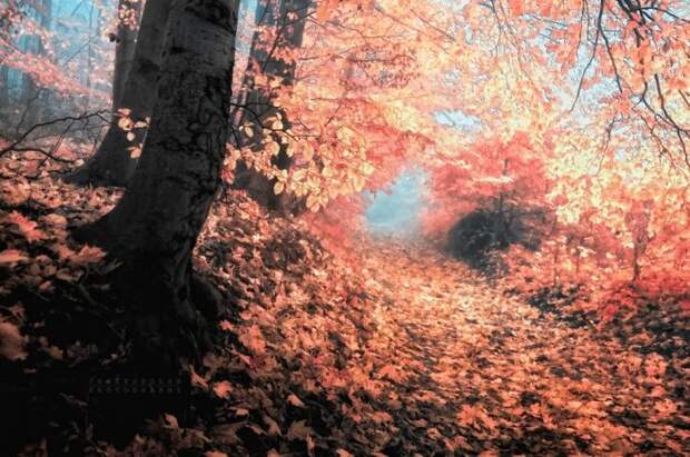 Красивые фотографии чешского фотографа Janek Sedlar