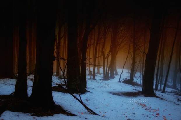 Красивые фотографии чешского фотографа Janek Sedlar