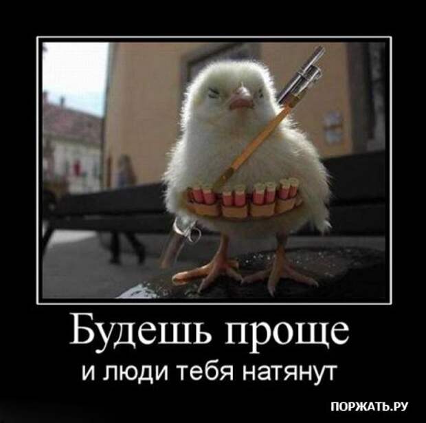Коллекция демотиваторов