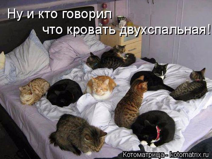 1433454547_31 (700x525, 272Kb)