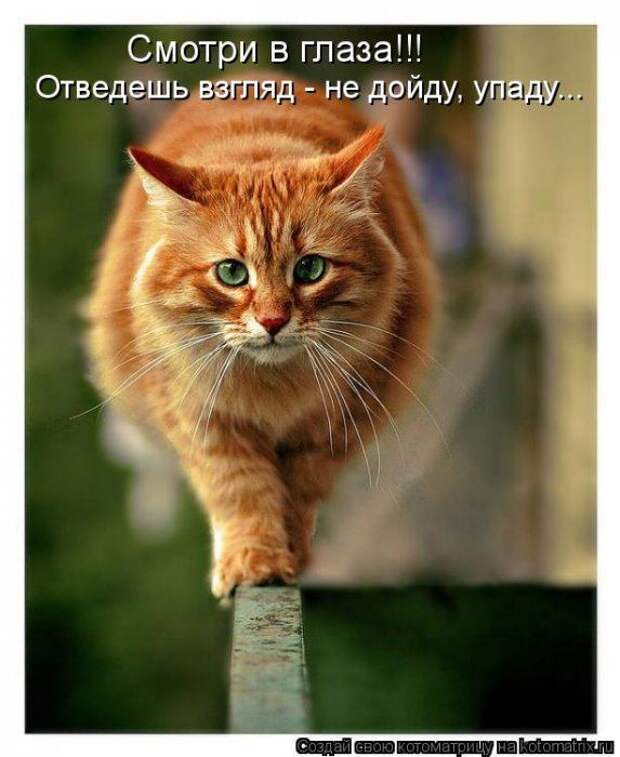 Мысли вслух :)