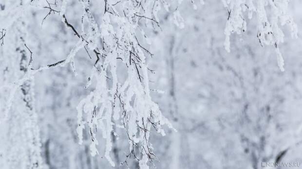 30-градусные морозы отступают с Южного Урала, уступая место снегопадам