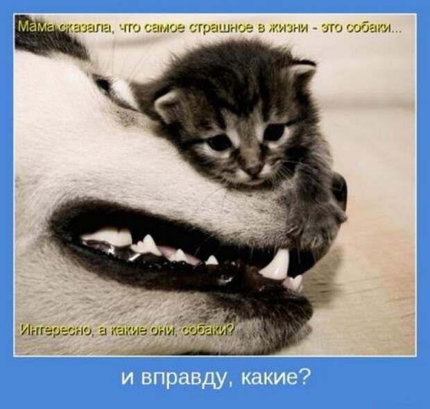 Картинки серьезные темы мотиваторы.
