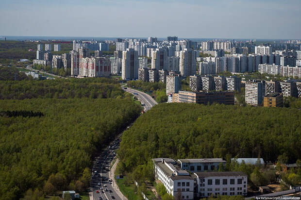 Дворцы Подмосковья