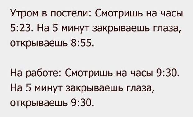 Юмор каждый день