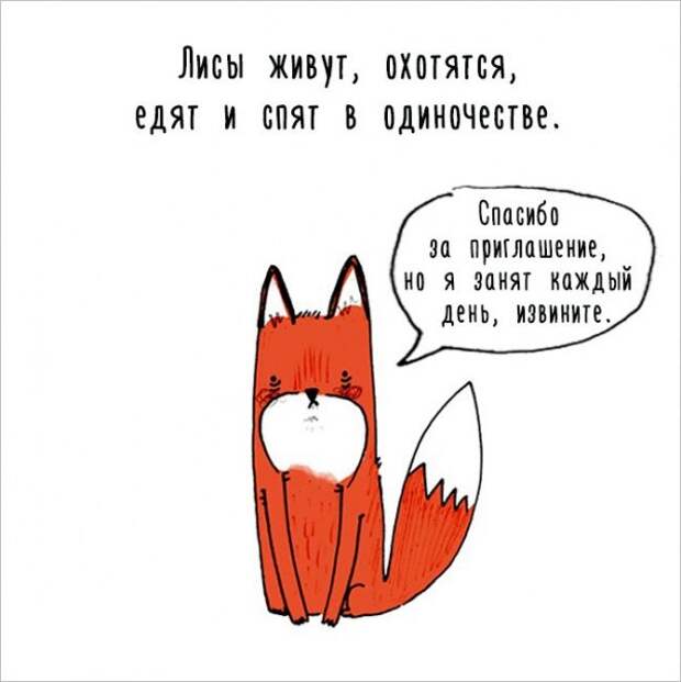 Интересные факты о животных в забавных рисунках (17 картинок)