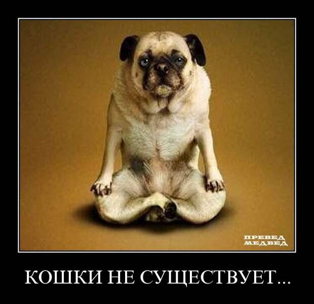 Демотиваторы (133 картинки)