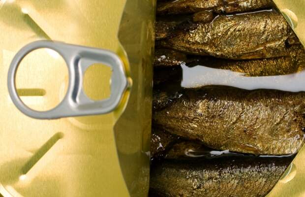 Россия запретила рыбную продукцию из Латвии и Эстонии
