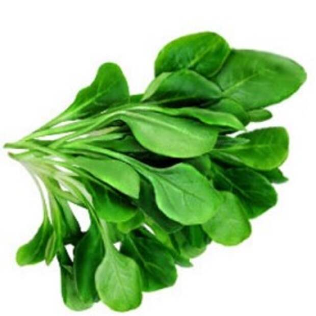 http://mamapedia.com.ua/UploadImages/spinach.jpg