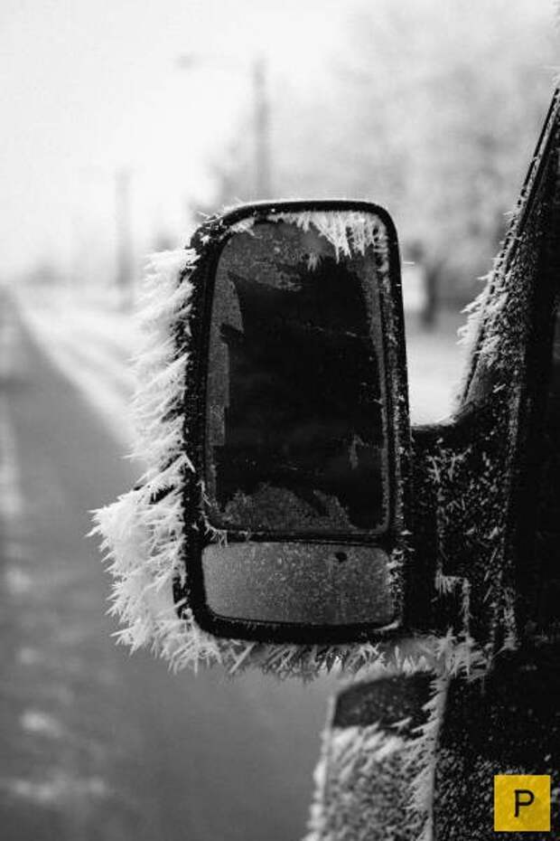 Подборка прикольных фотографий, часть 54 (125 фото)