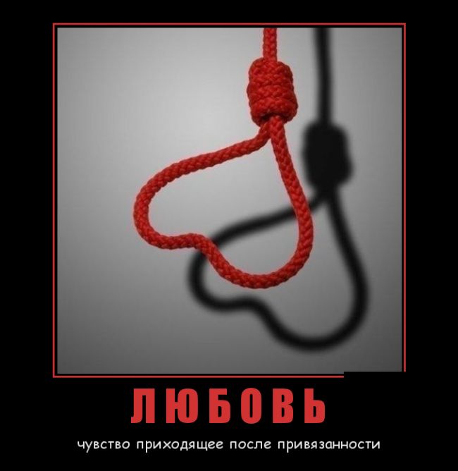 Демотиваторы (30 фото)