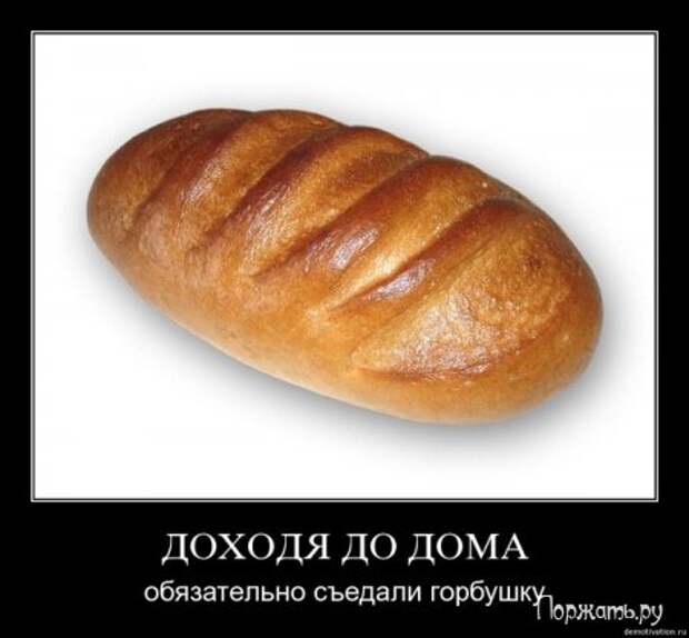 Быстрый поиск Демотиваторов (21 фото)