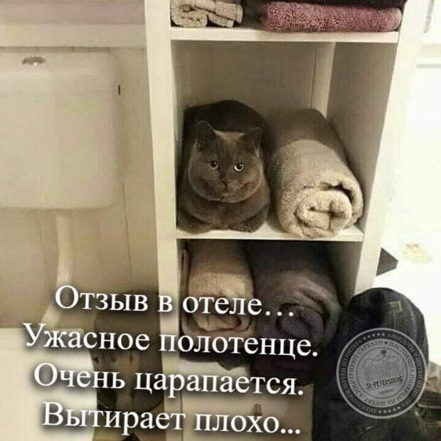 Ужасное полотенце. 
