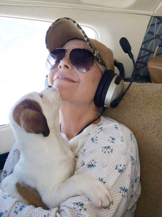 Пилоты спасают собак от эвтаназии  пилот, собака, спасение