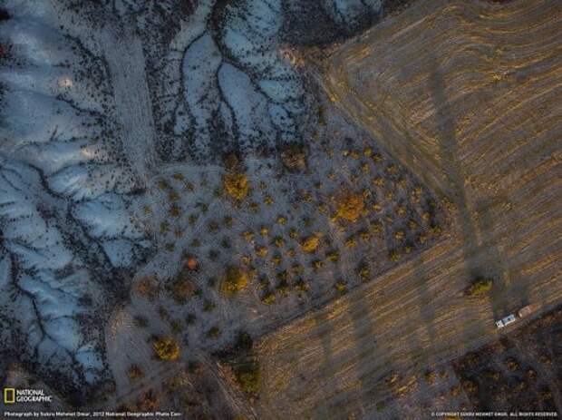 Коллекция лучших фотографий от National Geographic (ноябрь 2012)