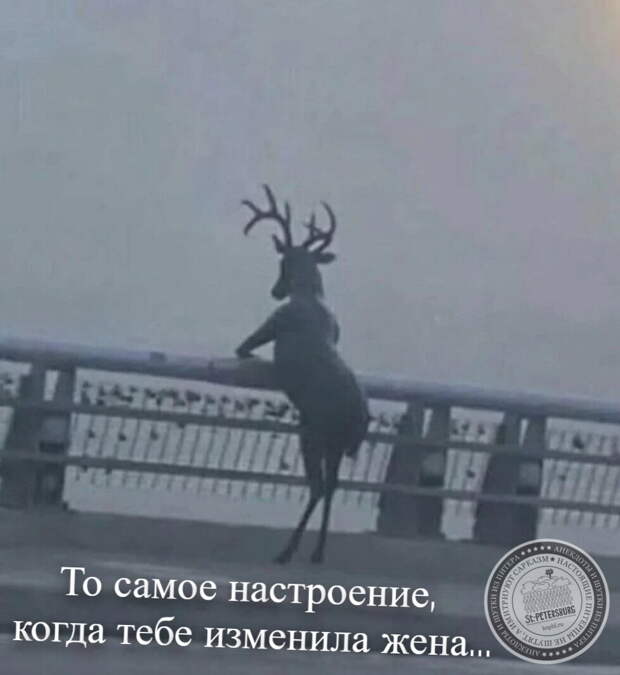 Измена