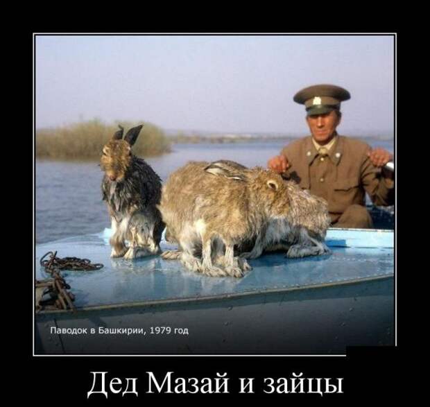 Демотиваторы (30 фото)