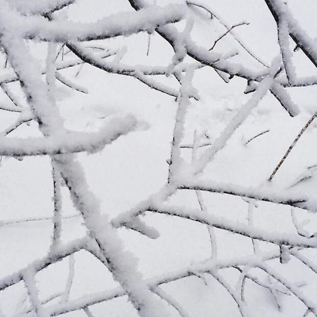 С погодой повезло. Good weather this time. #voronezh #russia #snow #winter С погодой повезло. Good weather this time. #voronezh #russia #snow #winter