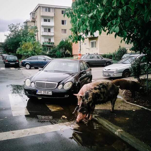 Фотографии, что показывают всю красоту и печаль Румынии